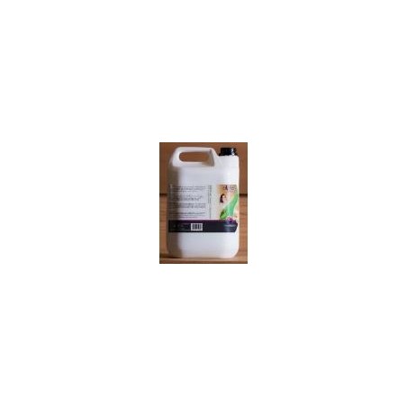 LAIT EUCALYPTUS 5 L POUR HAMMAM | ESTHE'pro Diffusion