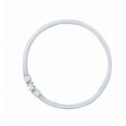 CIRCLINE FINE 22 W | ESTHE'pro Diffusion