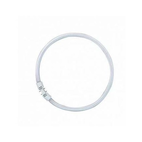 CIRCLINE FINE 22 W | ESTHE'pro Diffusion