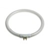 CIRCLINE EPAISSE 22 W | ESTHE'pro Diffusion