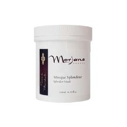 MASQUE SPLENDEUR 250 ML | ESTHE'pro Diffusion