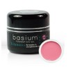 Basium 1 - Vitamines B,C et E | ESTHE'pro Diffusion