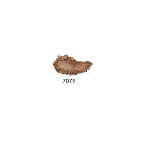 Poudre compact nuancier 7075