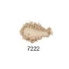 Poudre compact nuancier 7222