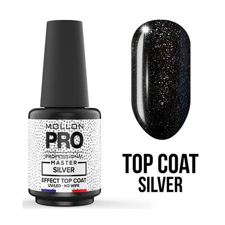 Top coat master silver