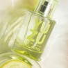 SOLINOTES Eau de Parfum Yuzu – Parfum frais et énergisant | ESTHE PRO DIFFUSION