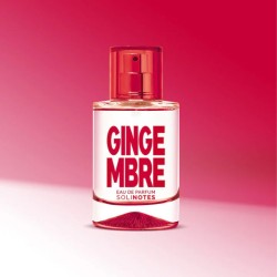 SOLINOTES Eau de Parfum Gingembre – Parfum Hespéridé Épicé | ESTHE PRO DIFFUSION