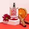SOLINOTES Eau de Parfum Gingembre – Parfum Hespéridé Épicé | ESTHE PRO DIFFUSION