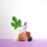 SOLINOTES Eau de Parfum Figuier – Parfum Fruité et Boisé | ESTHE PRO DIFFUSION