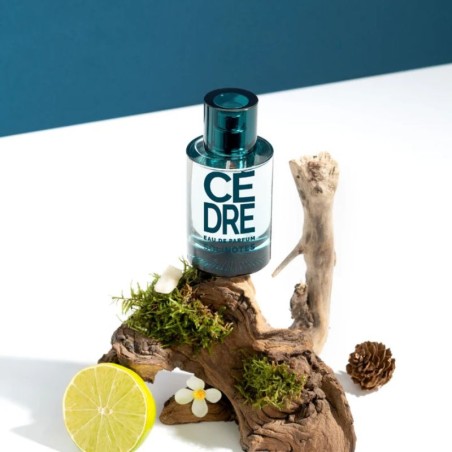 SOLINOTES Eau de Parfum Cèdre - Parfum boisé élégant | ESTHE PRO DIFFUSION