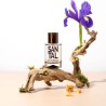 SOLINOTES Eau de Parfum Santal - Parfum boisé et épicé | ESTHE PRO DIFFUSION