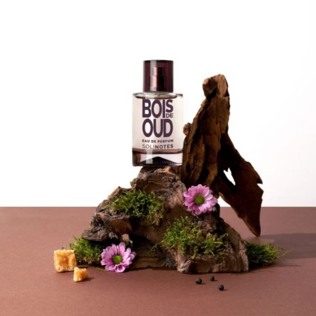 SOLINOTES Eau de Parfum Bois de Oud - Parfum oriental boisé | ESTHE PRO DIFFUSION