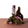 SOLINOTES Eau de Parfum Bois de Oud - Parfum oriental boisé | ESTHE PRO DIFFUSION